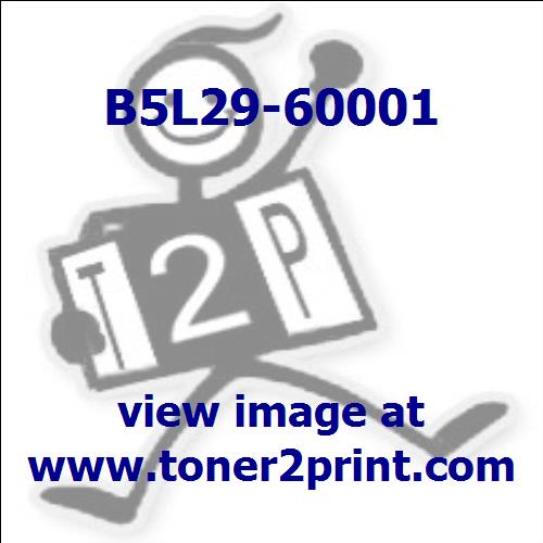 B5L29-60001 product picture