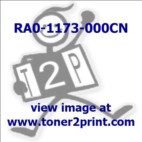 RA0-1173-000CN is tagged by a * in the diagram above.