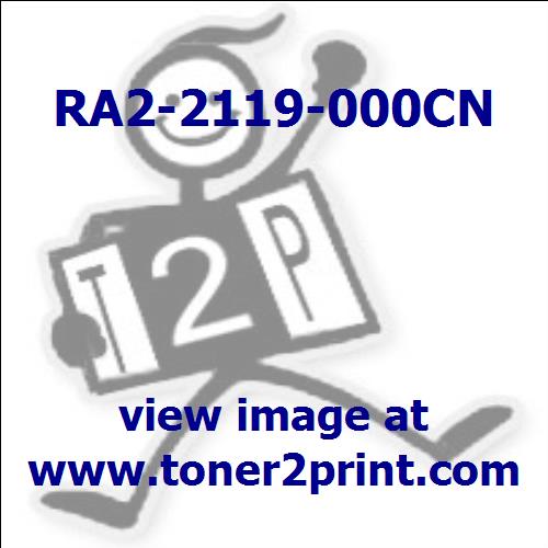 RA2-2119-000CN