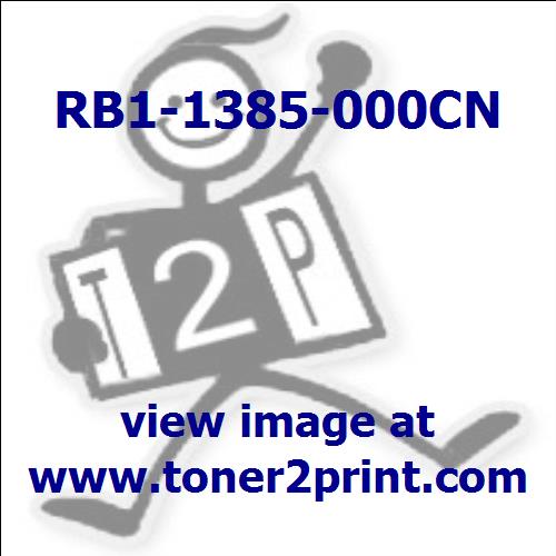 RB1-1385-000CN is tagged by a * in the diagram above.