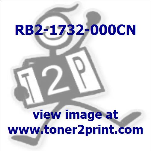RB2-1732-000CN is tagged by a * in the diagram above.